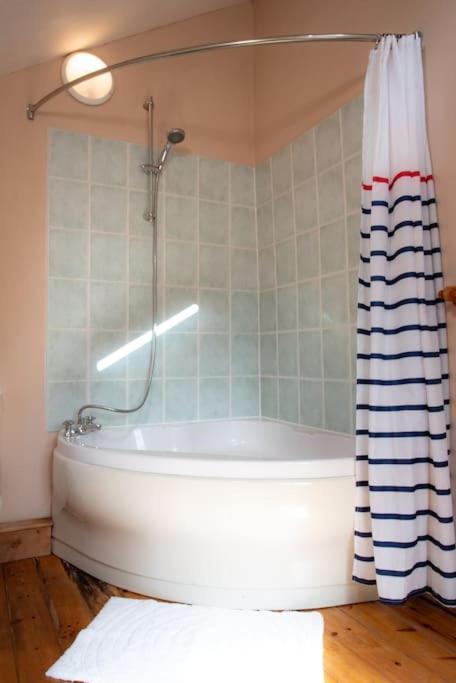 Yr Hen Efail - Old Smithy Holiday home Tregaron